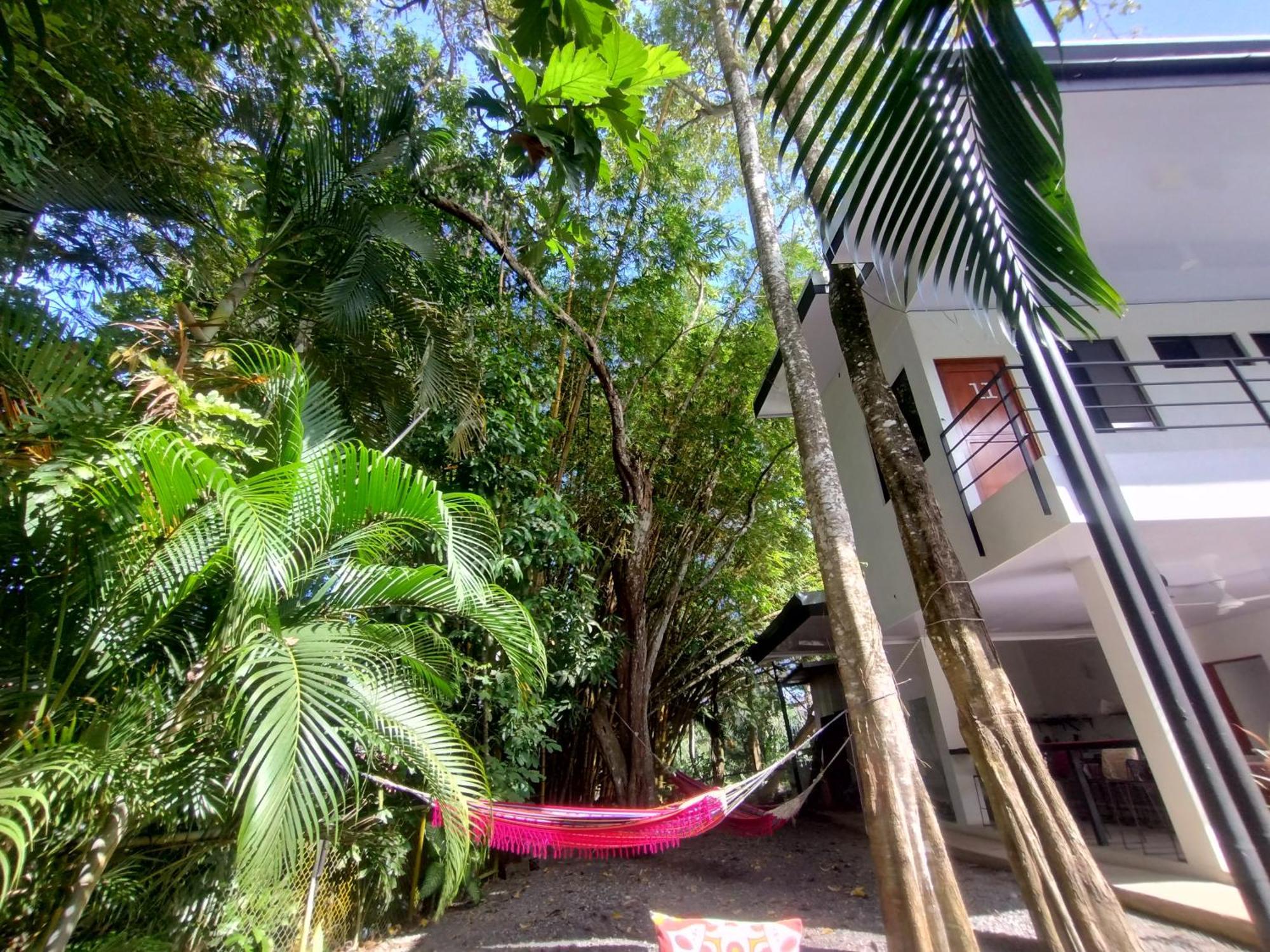Casajungla Hostel Jaco Luaran gambar