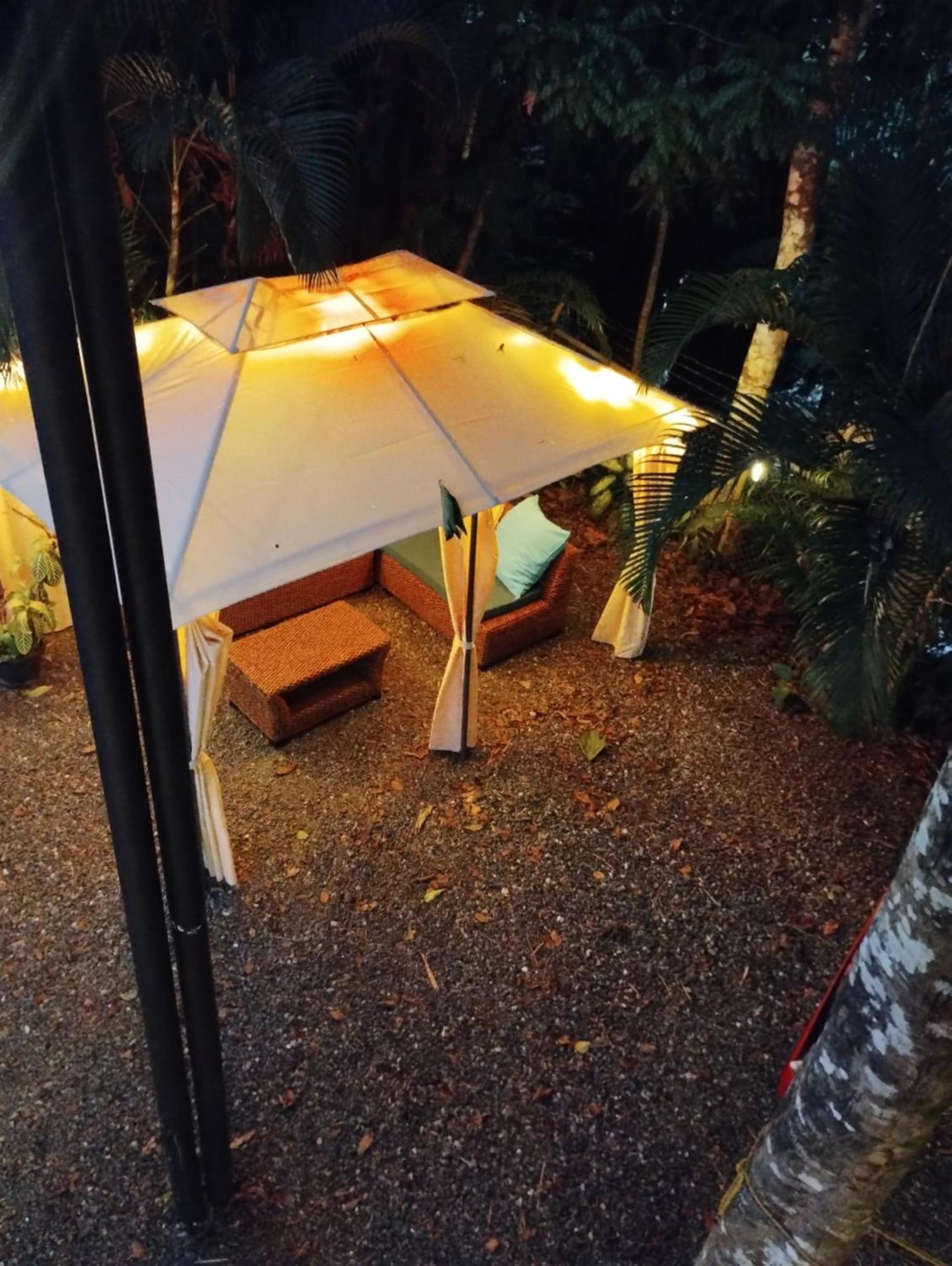 Casajungla Hostel Jaco Luaran gambar