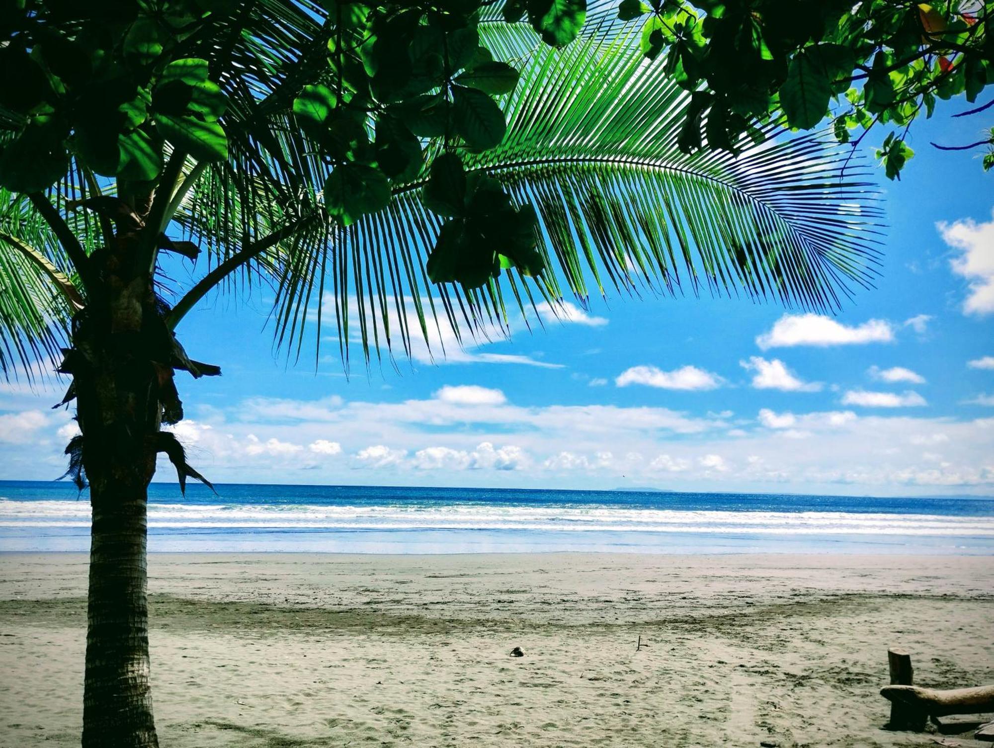 Casajungla Hostel Jaco Luaran gambar